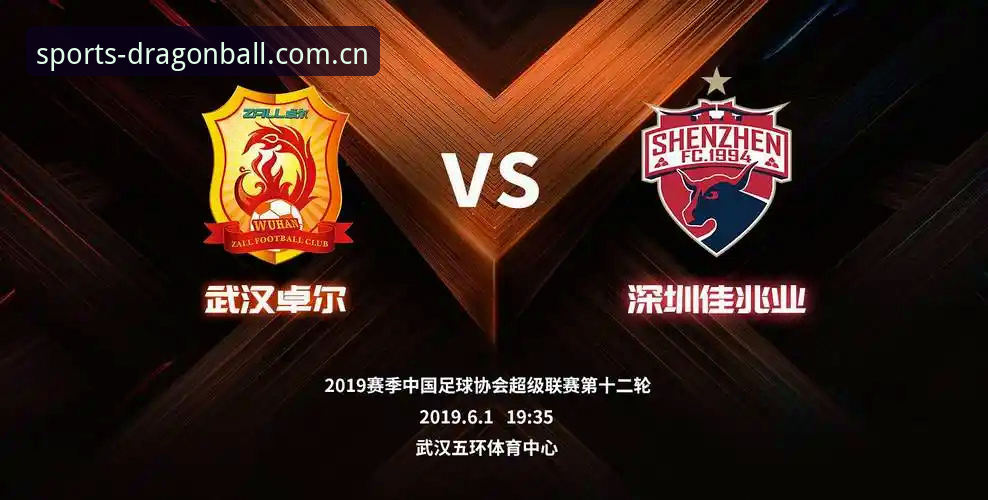 龙珠体育评价哪个好？传统数据平台 vs 创新体育服务对比解析